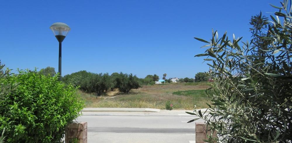 Elia Mare Apartment Mastihari Exterior photo
